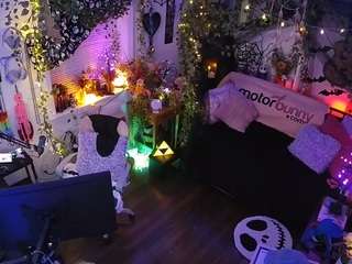 voyeurcam-veccasalt-01