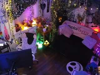 voyeurcam-veccasalt-01