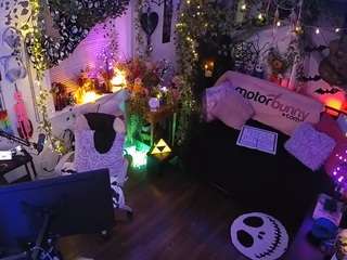 voyeurcam-veccasalt-01