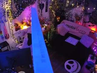 voyeurcam-veccasalt-01