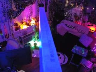 voyeurcam-veccasalt-01