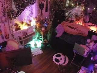 voyeurcam-veccasalt-01