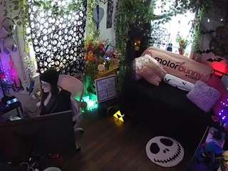 voyeurcam-veccasalt-01