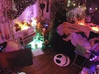 voyeurcam-veccasalt-01