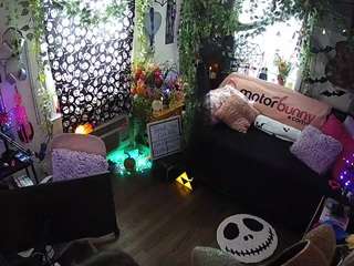 voyeurcam-veccasalt-01