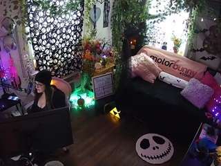 voyeurcam-veccasalt-01