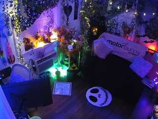 voyeurcam-veccasalt-01