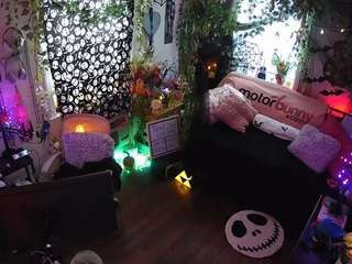 voyeurcam-veccasalt-01