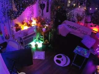 voyeurcam-veccasalt-01