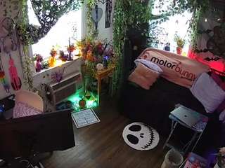 voyeurcam-veccasalt-... webcam