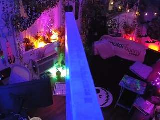 voyeurcam-veccasalt-01