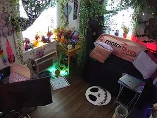 voyeurcam-veccasalt-01