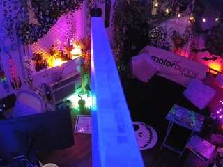 voyeurcam-veccasalt-01