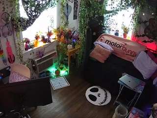 voyeurcam-veccasalt-01