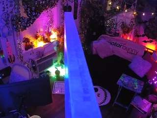 voyeurcam-veccasalt-01