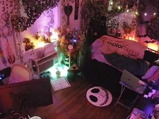 voyeurcam-veccasalt-01 Profile Image