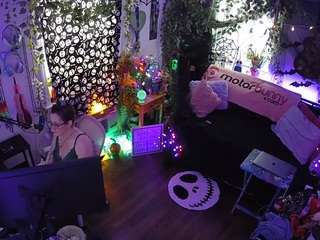 voyeurcam-veccasalt-01