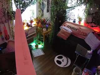 voyeurcam-veccasalt-01