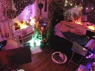 voyeurcam-veccasalt-01