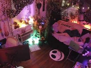 voyeurcam-veccasalt-01