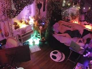 voyeurcam-veccasalt-01