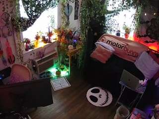 voyeurcam-veccasalt-01