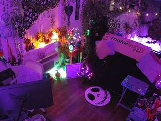 voyeurcam veccasalt 01