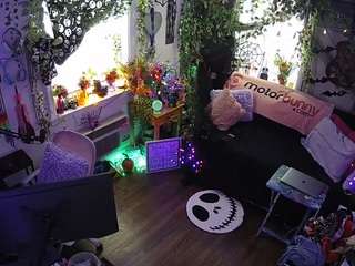 voyeurcam-veccasalt-01