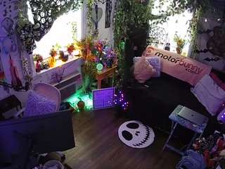 voyeurcam veccasalt 01