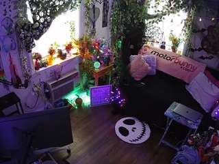 voyeurcam-veccasalt-01