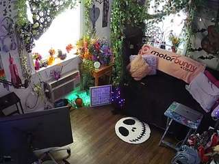 voyeurcam-veccasalt-01