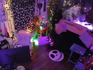 voyeurcam-veccasalt-01