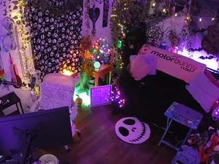 voyeurcam-veccasalt-01