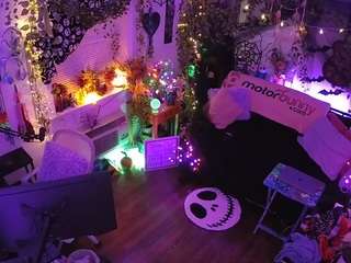 voyeurcam-veccasalt-01