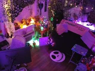 voyeurcam-veccasalt-01