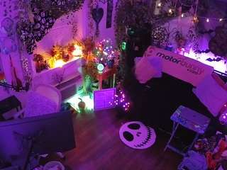 voyeurcam veccasalt 01