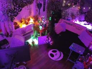 voyeurcam-veccasalt-01