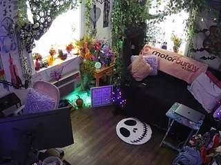 voyeurcam-veccasalt-01