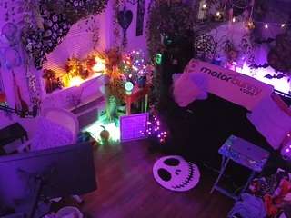 voyeurcam-veccasalt-01