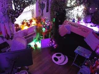 voyeurcam veccasalt 01