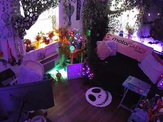 voyeurcam-veccasalt-01