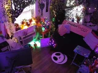 voyeurcam-veccasalt-01