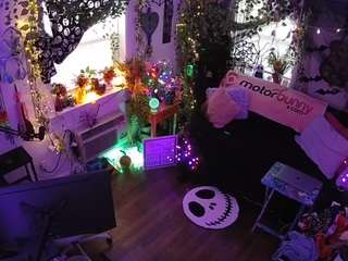 voyeurcam-veccasalt-01