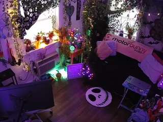 voyeurcam-veccasalt-01