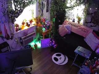 voyeurcam-veccasalt-01