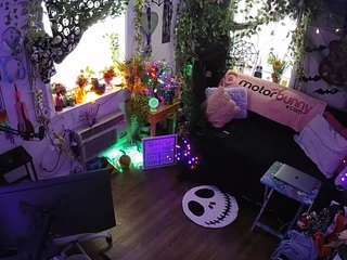 voyeurcam-veccasalt-01