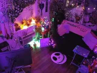 voyeurcam-veccasalt-01