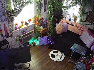 voyeurcam-veccasalt-01