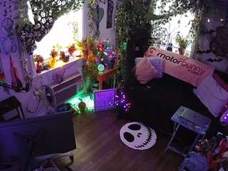 voyeurcam-veccasalt-01