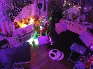 voyeurcam-veccasalt-01